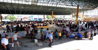 Yenimahallede Kurban Bayramı Coşkusu