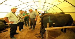 Başkentliler Yakacıkta Pazarlığa Tutuştu