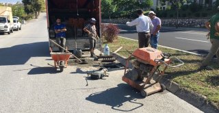 Baca Kapakları Gün Yüzüne Çıkarılıyor