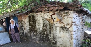 Büyükşehirden Konteyner Ev Ve Eşya Yardımı