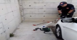 Hastane Bahçesinde Kara Yılan Yakalandı
