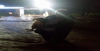 Traktörler Sel Sularına Kapıldı