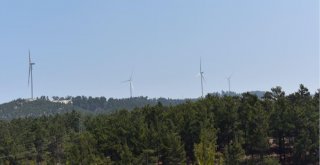 Jcr, Sur Yapı Ve Sur Enerjinin Kredi Notunu Yükseltti