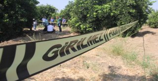 Öldürüldükten Sonra Gömülen Şahsın Kimliği Belli Oldu