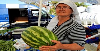 Taşeronun Kazandığı Fahiş Fiyatlara Üretici Darbesi