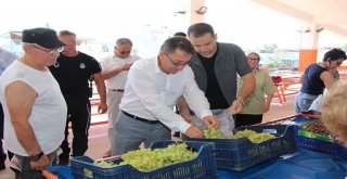 Güre Pazarı Yeni Yerinde