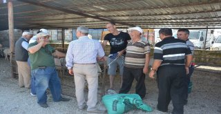 Başkan Acar Kurban Pazarını Ziyaret Etti