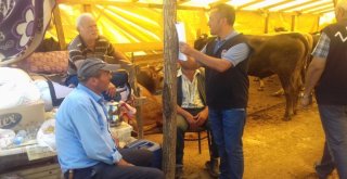 Ümraniyede Kurban Pazarı Denetimleri Devam Ediyor