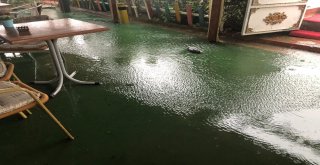 Sakaryada Dereler Taştı, İlçe Sular Altında Kaldı