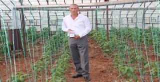 Antalyada Solucan Gübresi İle Tarım Uygulaması Yapıldı