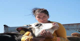 Genç Çiftçilere 3 Yılda 12 Milyonluk Destek