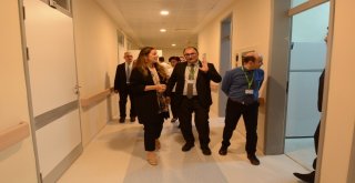 Düzce Üniversitesi Hastanesindeki Özel Servisin Açılışı Gerçekleştirildi