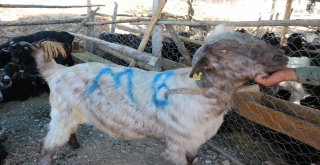 Arefe Günü Pazarlıklar Sıkılaştı