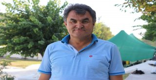 Akın Akın Çiftelere Gidiyorlar