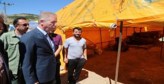 Elde Kalan Kurbanları Et Ve Süt Kurumu Alacak