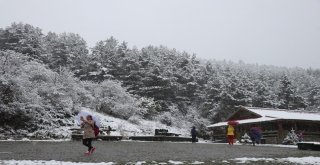 Abant Tabiat Parkı Kar Yağışıyla Beyazlara Büründü