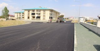 Aziziyede Asfalt Seferberliği