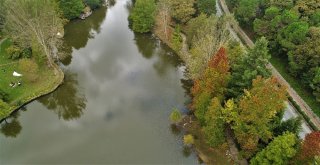 (Özel) Sonbaharın Renklerine Bürünen Atatürk Arboretumu Havadan Görüntülendi