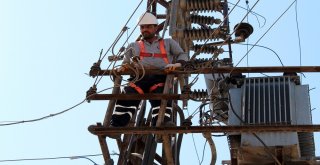 Dicle Elektrik Kış Öncesi Bakım Onarım Çalışmalarına Başladı