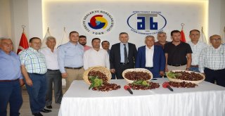Aydında Sezonun İlk Kestanesi Borsaya Teslim Edildi