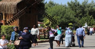 (Özel Haber) Gaziantep Hayvanat Bahçesi Rekorları Alt Üst Ediyor