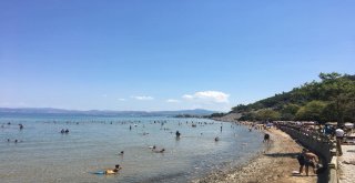 Milli Parka Ziyaretçi Akını