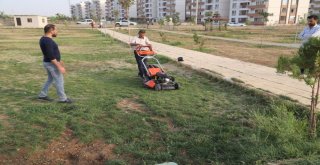 Silopi Belediyesi 4 Adet Çim Biçme Makinesi Aldı