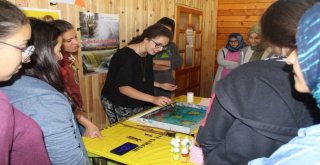 Türkiyenin Dört Bir Yanından Gelen Gençler Karadeniz Gençlik Kampında Buluştu