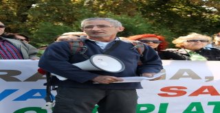 Stklardan Yalovada Yeşil Alan Protestosu