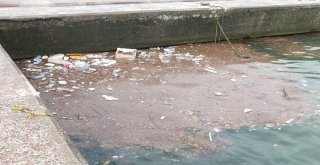 Bandırmada Selin Yaraları Sarılıyor