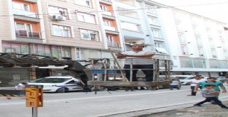 (Özel) Esenyurtta  Pencerenin Korkuluğunda Aç Susuz Mahsur Kalan Kuşu Kurtarma Operasyonu Kamerada