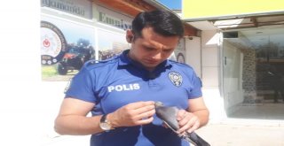 Polis Memurları Yaralı Güvercin İçin Seferber Oldu