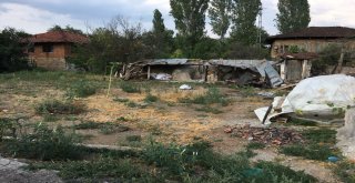 Evi Yanan Yaşlı Kadın Kömürlükte Yaşam Mücadelesi Veriyor