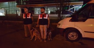 Bayram Trafiğinde Jandarmadan Köpekli, Dronelu Uygulama