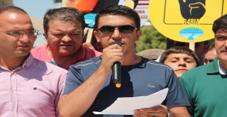 Van Sdiden Abdye Sert Kınama