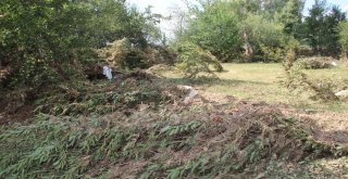 Afyonkarahisarda Sel Felaketinin Ağır Bilançosu Bugün Ortaya Çıktı