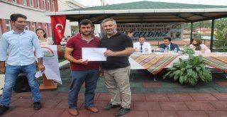 Kıvırcık Irkı Damızlık Koçların Dağıtım Töreni Yapıldı