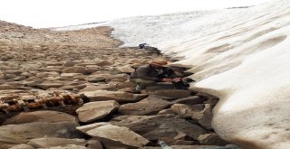 Süphan  Dağında İngiliz Uçağının Parçalarını Bulundu