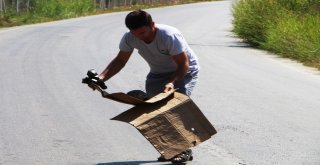 Tatilci Kaplumbağaya Siper Oldu