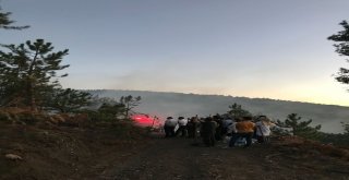 Kaymakam Ve Vatandaşlar, Ormanı Yanmaktan Kurtardı