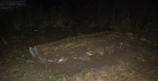 Kayıp Evrimin Dedesinin Mezarında Arandı