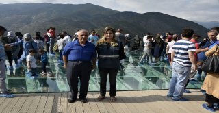 Cam Seyir Terasına Kır Lokantası Yapılacak, Yolu Ağaçlandırılacak