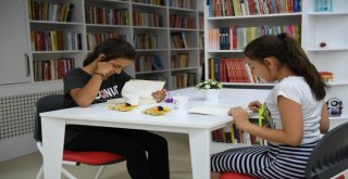 Çınardan Eğitim Vurgusu