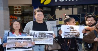 Balıkesirli Hayvan Severlerden 4 Ekim Açıklaması