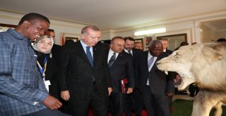 Cumhurbaşkanı Erdoğan, Zambiyalı Mevkidaşı İle Görüştü