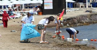 Deniz Temiz Turmepadan Masmavi Denizler İçin Uygulamalı Eğitim