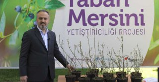 Büyükşehir'in ihracat hedefi 1 milyon dolar