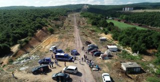 Beykozdaki Atlar Kamyonlarla Şehir Dışına Götürülüyor