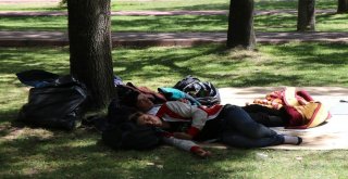 Parkta Yatan 17 Afgan Aileye Devlet Sahip Çıktı