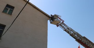 Varto İtfaiyesi Kuş Yavrusu İçin Seferber Oldu